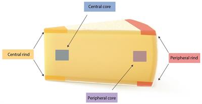 Insight Into the Distribution of Staphylococci and Their Enterotoxins in Cheeses Under Natural Conditions